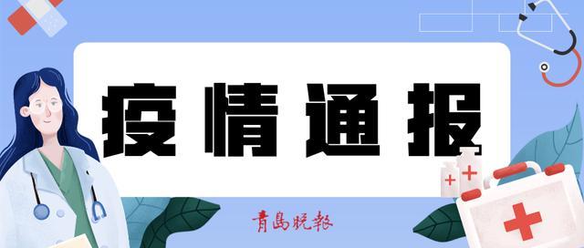 全球疫情最新动态，共同应对挑战与希望的曙光