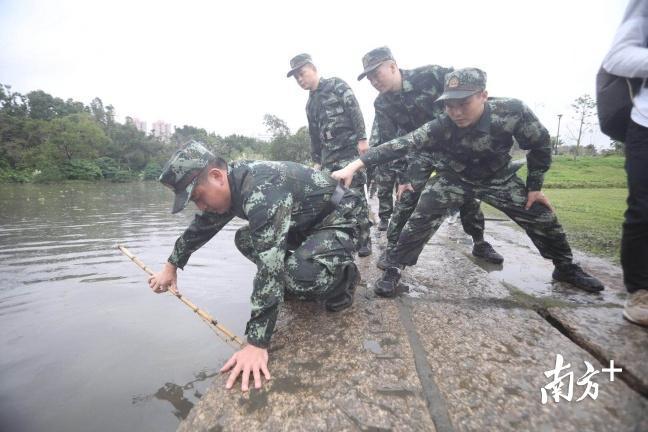 全球洪水挑战，最新动态与应对策略