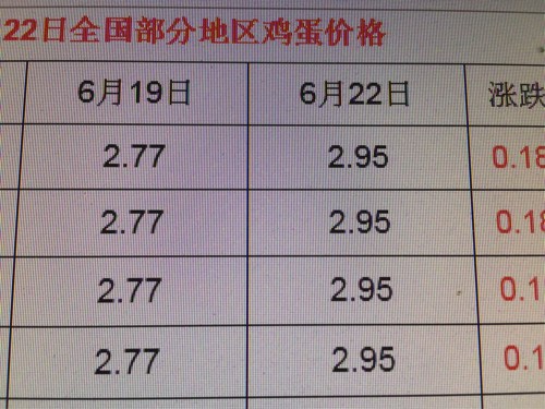 北京今日鸡蛋价格分析与未来展望