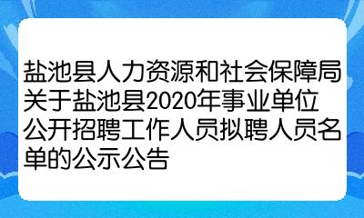 宁夏盐池最新招聘动态与职业机会深度解析