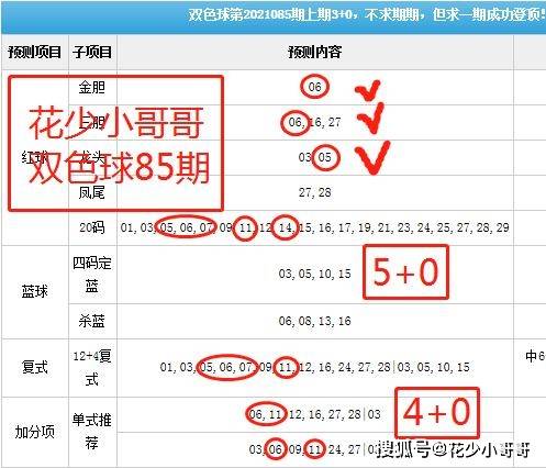 双色球最新结果开奖号,精细解答解释定义_AP13.590