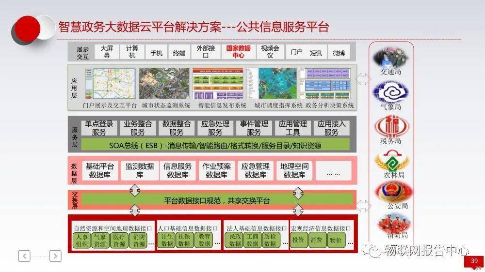 2024年11月17日 第49页