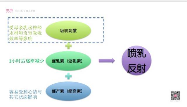 2024澳门今晚开特马结果,理论分析解析说明_冒险款93.176