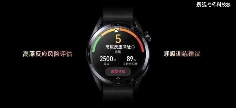 新奥门天天资料,标准化实施评估_watchOS23.137