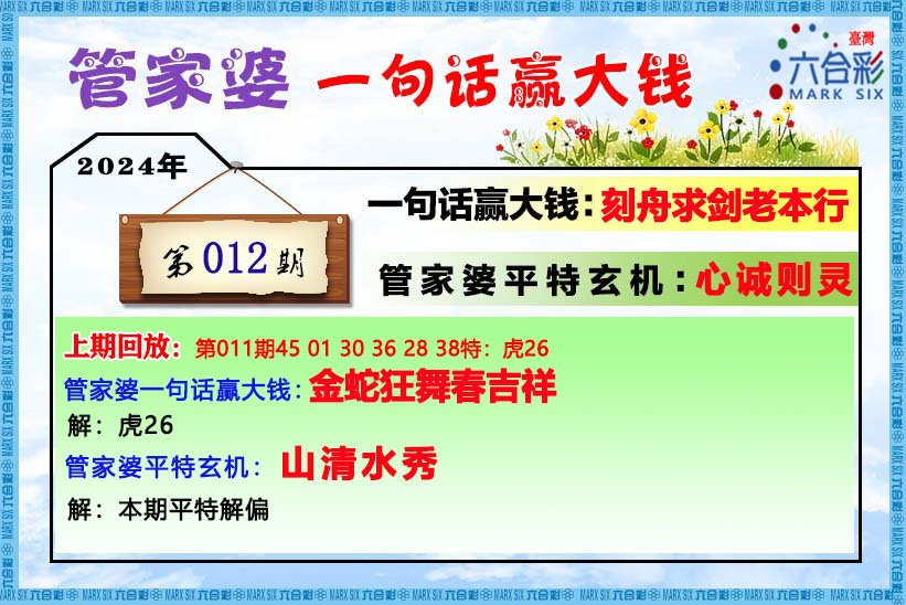 2024年管家婆一肖中特,适用计划解析_超值版89.754