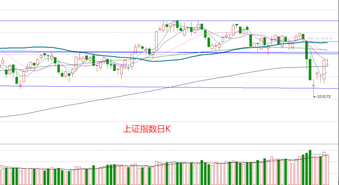 新澳精准资料期期精准24期使用方法,深度解答解释定义_NE版93.493