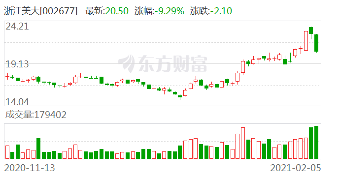 浙江美大股票最新消息深度解读与分析