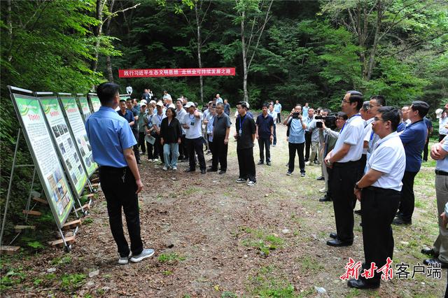 甘肃国有林场改革最新动态报道