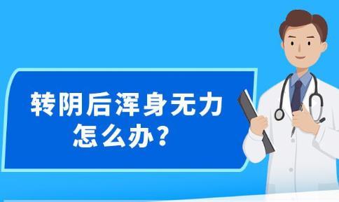 新澳2023年精准资料大全,战略方案优化_安卓11.713