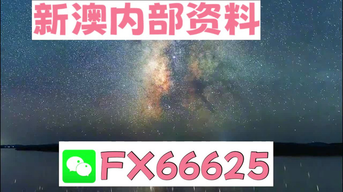 新澳天天彩免费资料大全的特点,实效性解析解读_粉丝版66.507