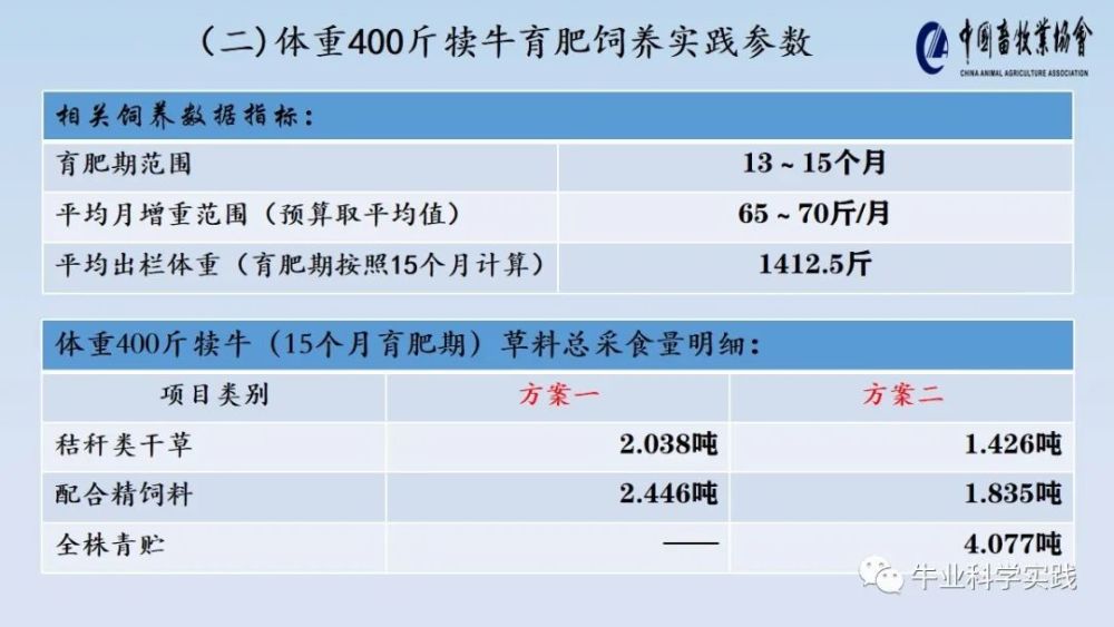 澳门六和开奖结果2024开奖记录查询,数据驱动方案实施_Surface46.389