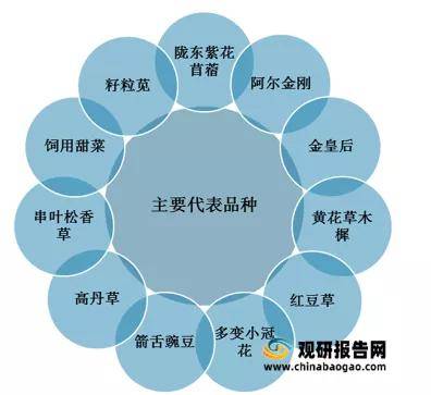 新澳门最新最快资料,互动性执行策略评估_视频版74.531