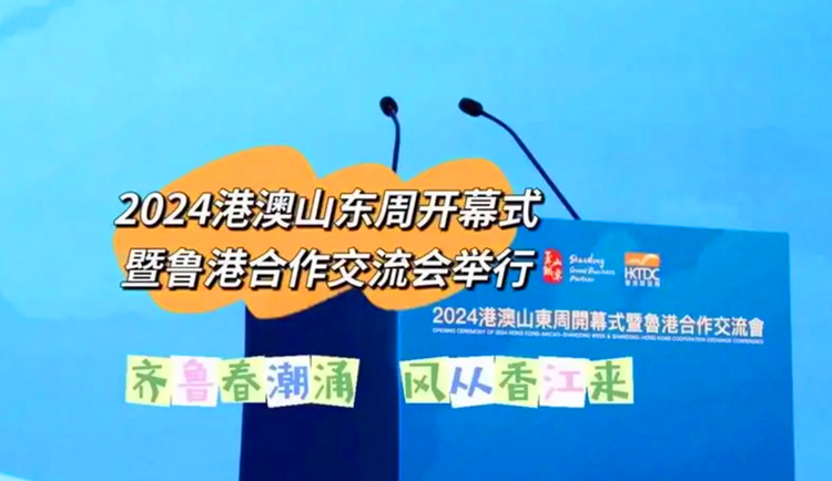 新澳门2024年资料大全管家婆,决策资料解释落实_轻量版31.212