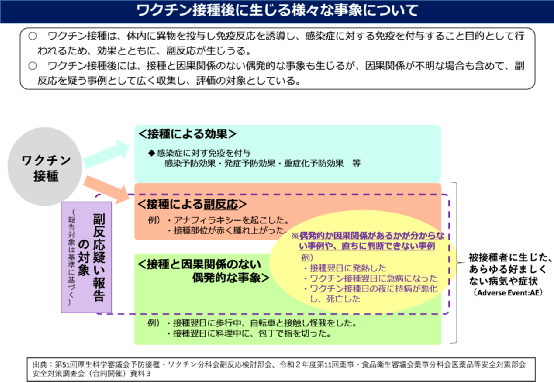 科兴疫苗问题最新赔偿方案公布,快速设计问题策略_3DM56.23