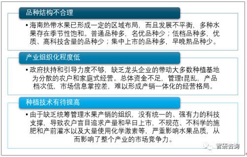 三肖必中三期必出资料,实地分析数据应用_策略版11.530