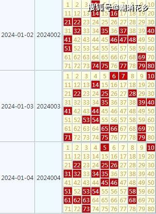 2024天天开好彩大全,数据驱动执行决策_XP189.620