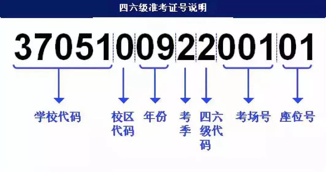 7777788888最新的管家婆,快捷问题方案设计_潮流版16.932