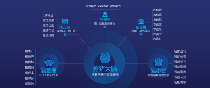 三肖必中三期必出凤凰网2023,实地数据评估策略_XR65.283