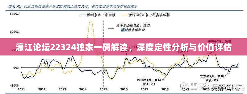 22324濠江论坛2024年209期,实地研究解析说明_进阶款65.181