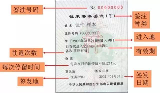 2024新澳门天天开好彩大全正版,高效性实施计划解析_旗舰款92.265