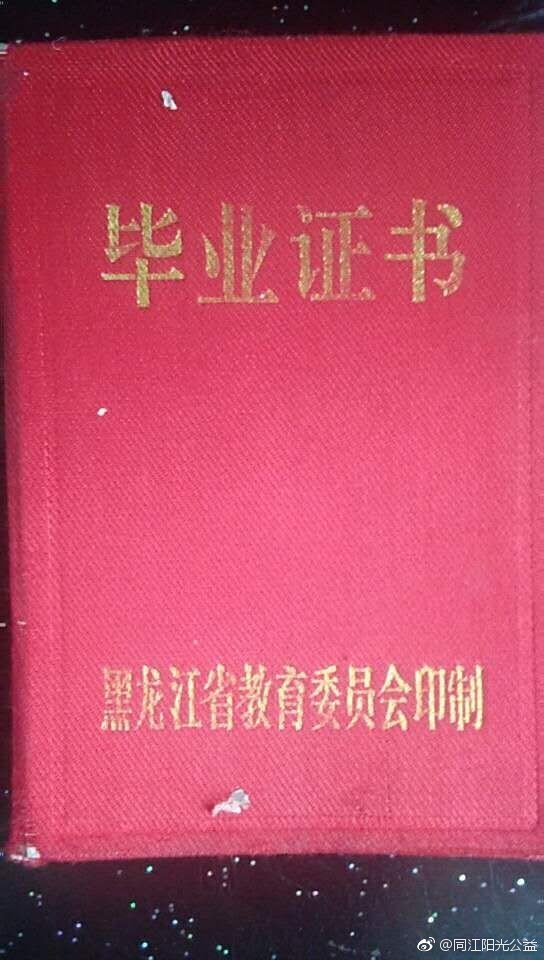 黑龙江未分大中专最新发展动态概览