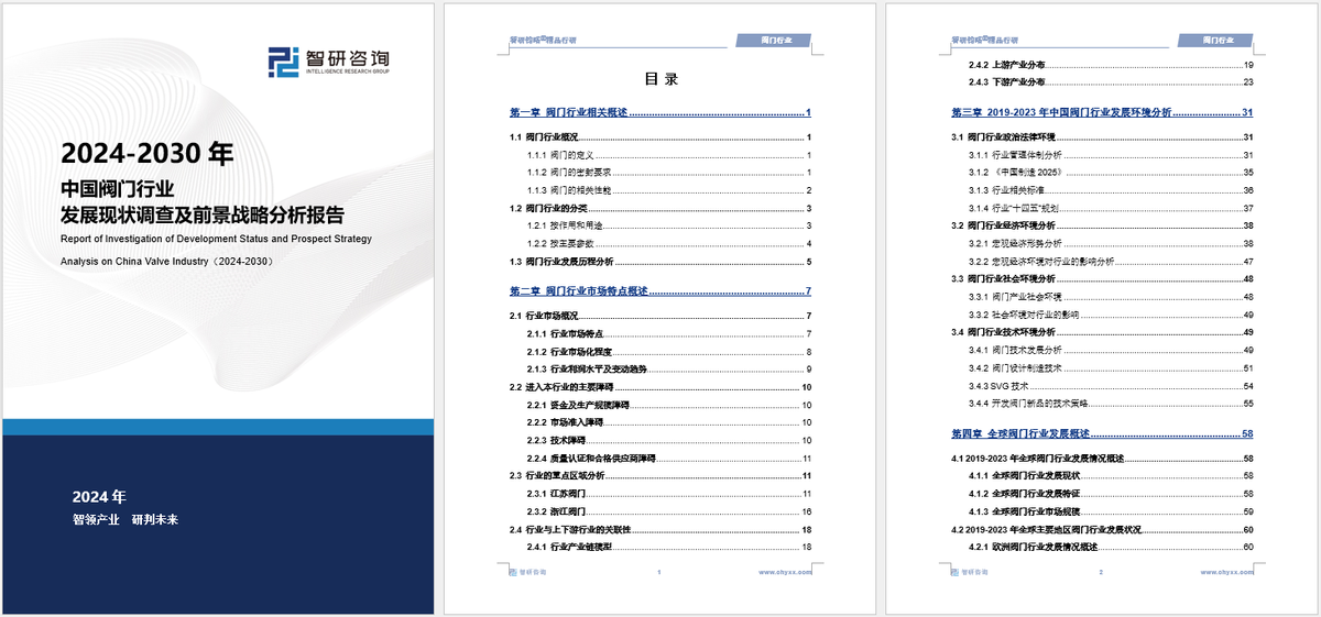 2024新奥门资料最精准免费大全,标准化实施程序分析_X49.215