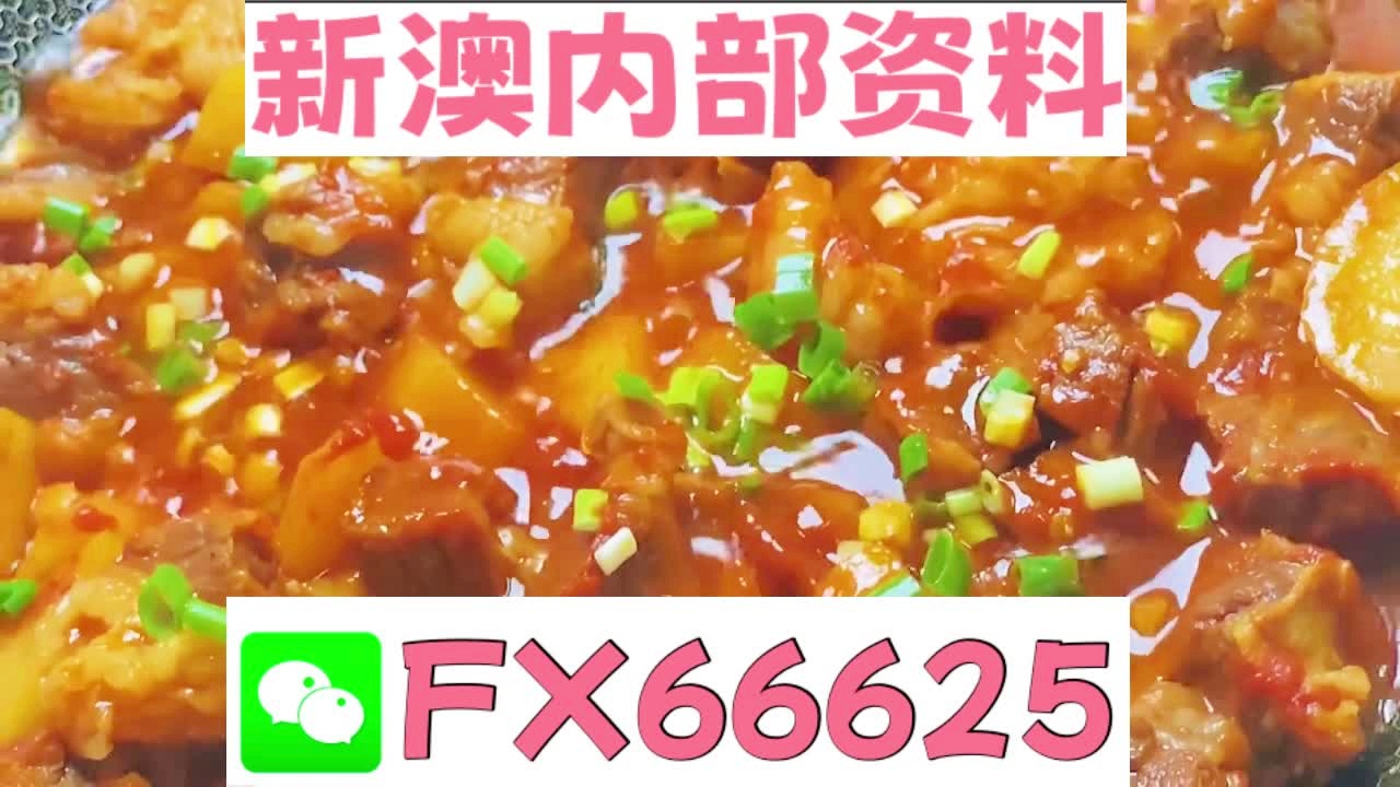 新奥门特免费资料大全管家婆料,精细定义探讨_旗舰款82.719