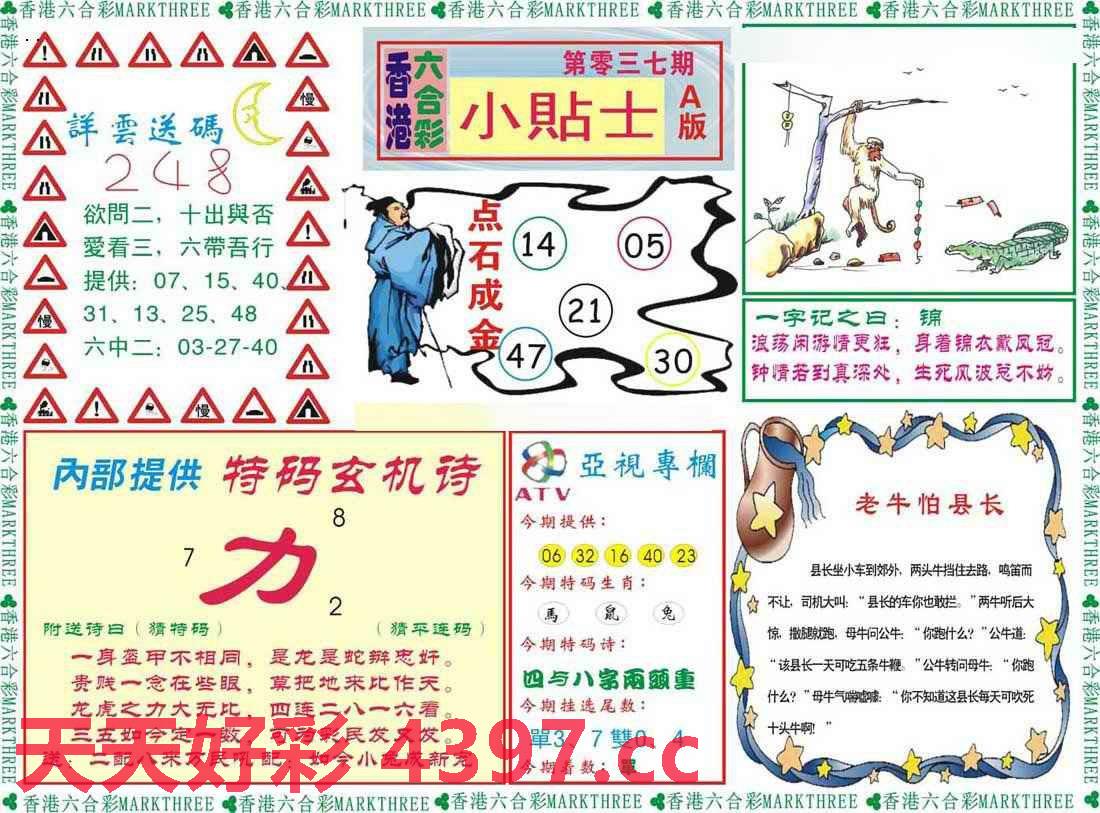 二四六246天天彩资料,实地说明解析_模拟版33.927