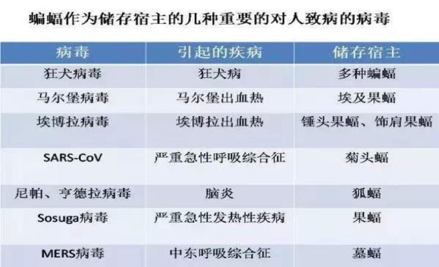 新奥天天免费资料大全正版优势,权威诠释推进方式_领航版75.668