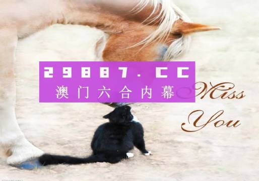 4949澳门天天彩大全,实际应用解析说明_完整版2.18